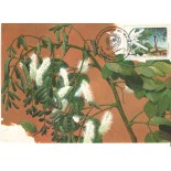 1990 MÁXIMO POSTAL 137 - SOCIEDADE BOTÂNICA - 7483